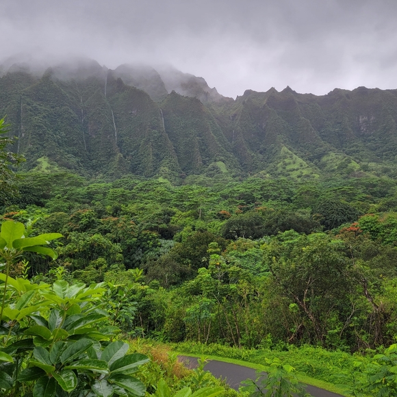 Meet your Posher, Aimee - Picture 3 of 12